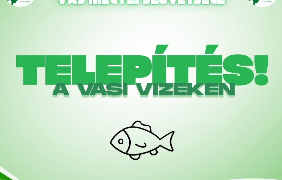 Újabb 3,9 tonna ponty érkezik a Vasi Vizekbe!