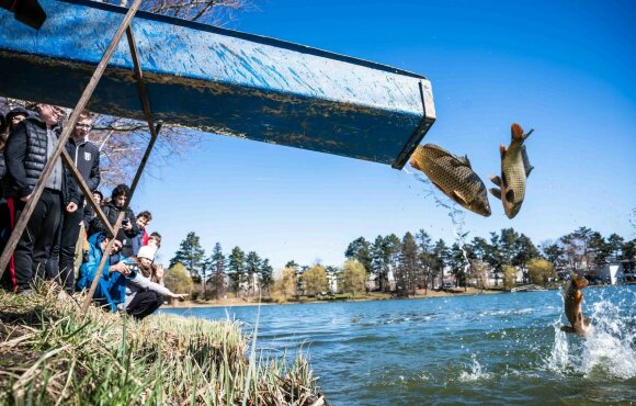 Közel 40 mázsa ponty és folyóvízi halak is érkeznek