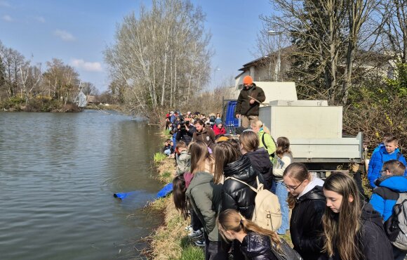 Nearly 40 tons of carp and river fish also arrived