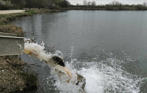 3 napon is halat telepítettünk az ünnepi héten