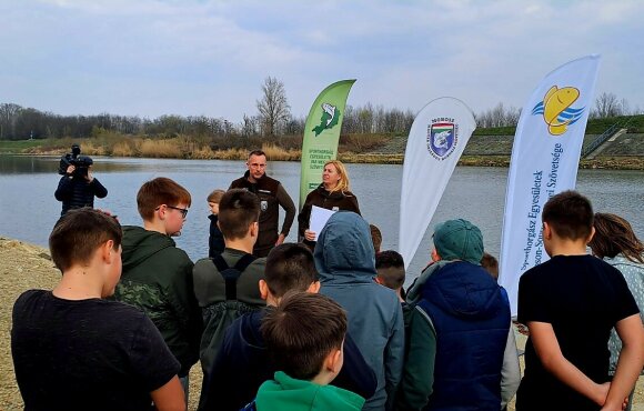 Pisces Day 2026 - Visual installation on the Rába