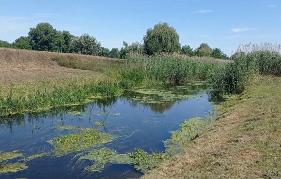 Megkezdődött a Marcal víztartását segítő beruházás