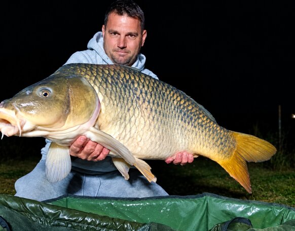carp