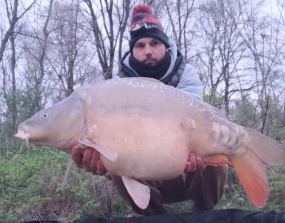 carp
