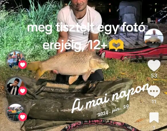 kriszcarp89@gmail.com