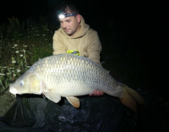 carp