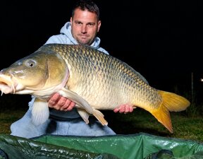 carp