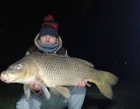 carp