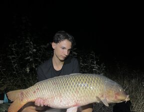 Ádám12
